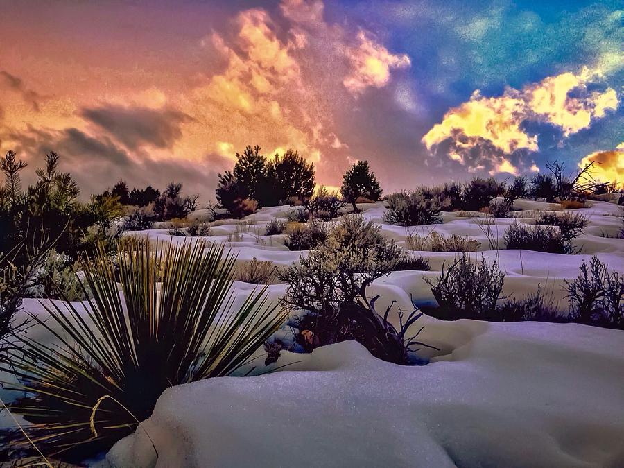 Sunset Photograph - Yucca Snowfall by Tanner Williams