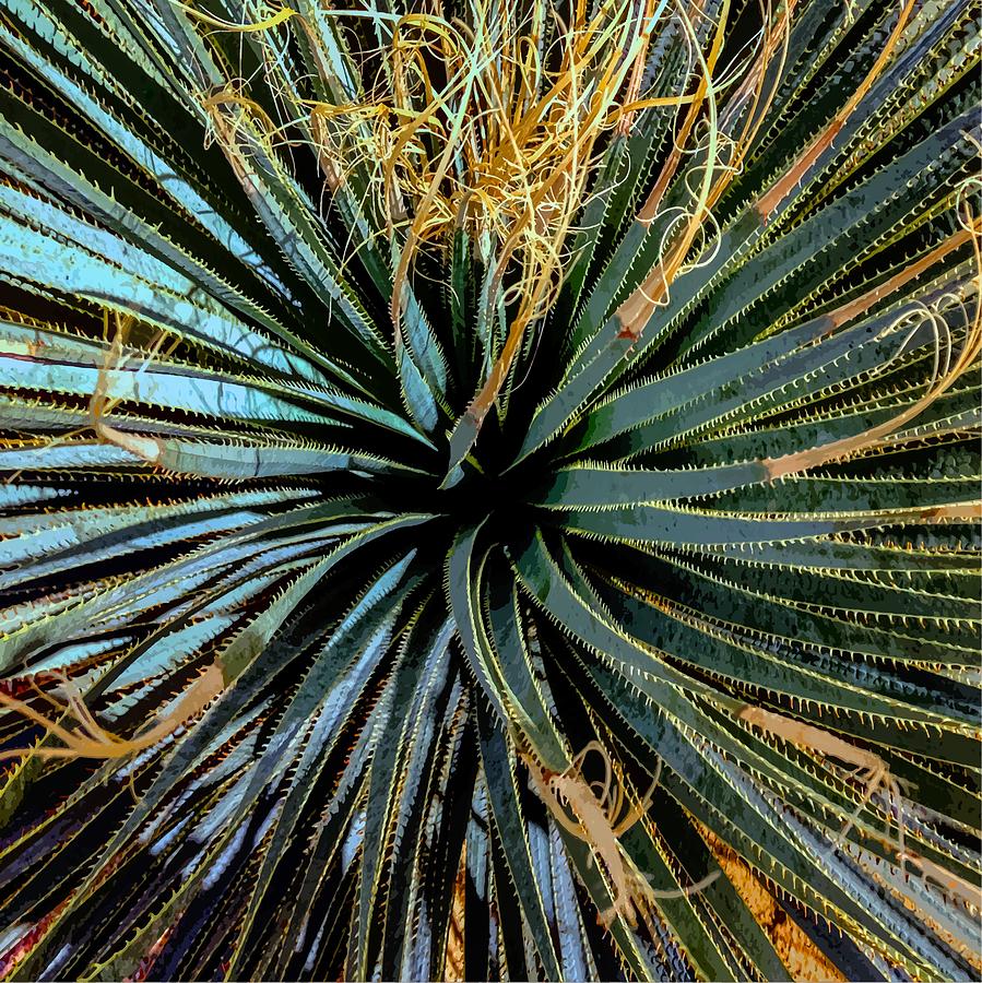 Yucca Yucca Photograph by Stan  Magnan