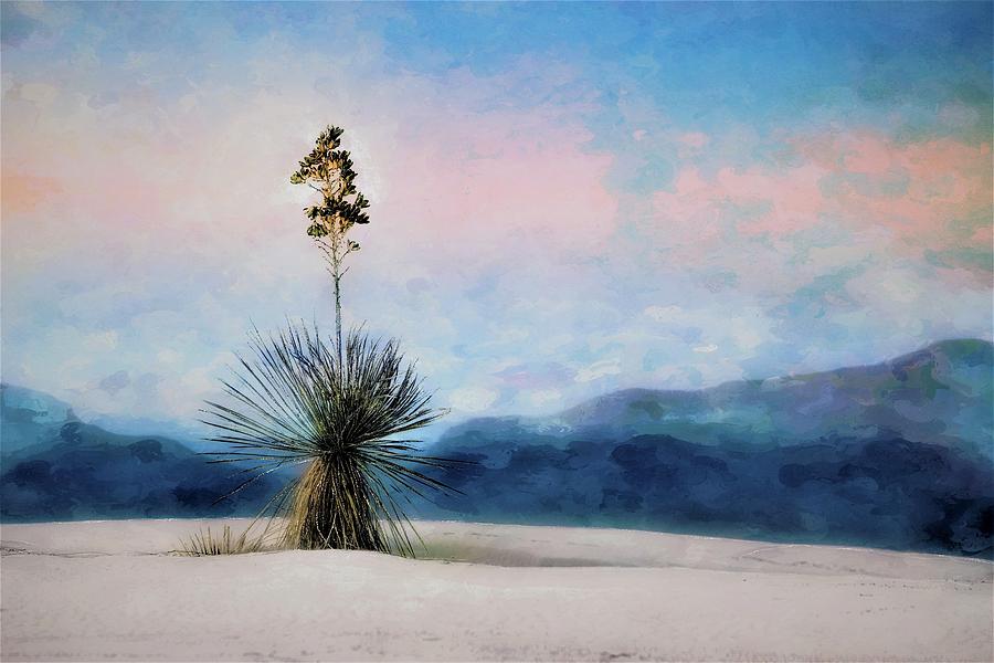 Yuccas Painted Sunset Sky Mixed Media by Barbara Chichester