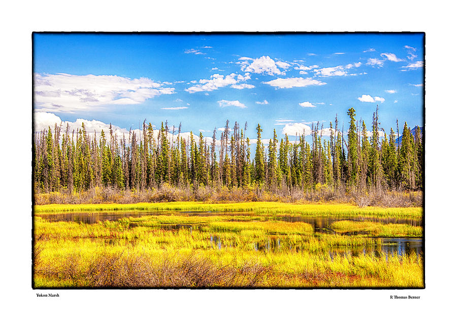 Yukon Marsh Photograph by R Thomas Berner
