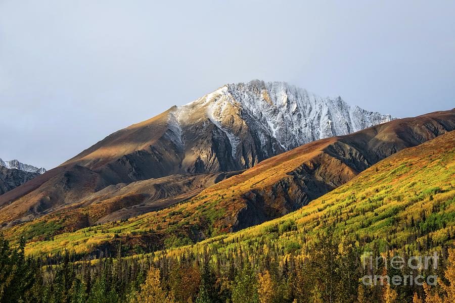 Yukon Mountain View Photograph by Ed McDermott