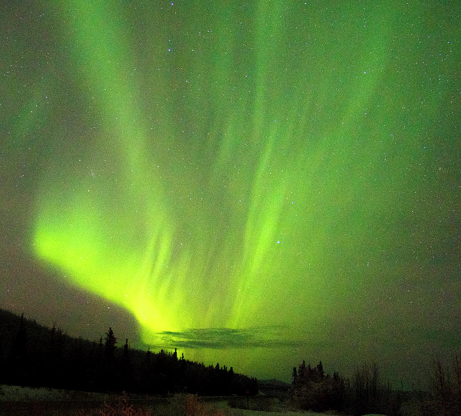 Yukon Northern Lights 1 Photograph by Phyllis Spoor