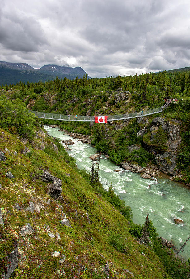 Yukon Suspension Bridge Photograph by Anthony Jones