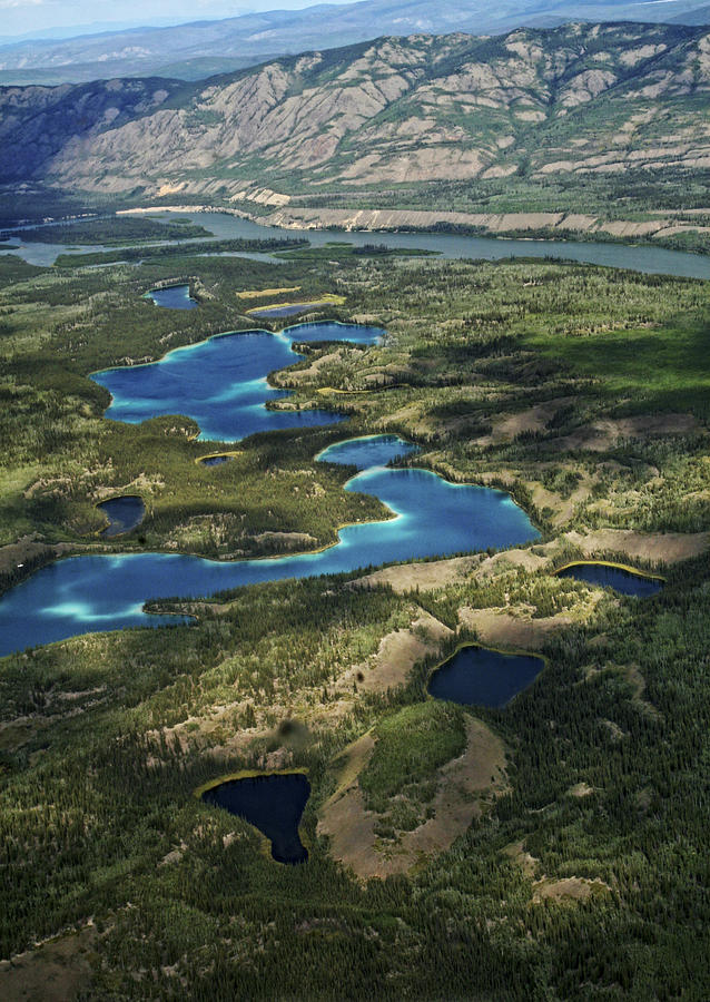 Yukon Territory Canada Photograph by Waterdancer