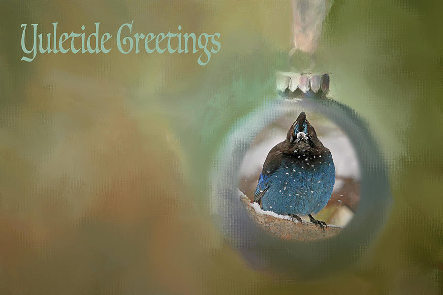 Yuletide Greetings Photograph by Donna Kennedy