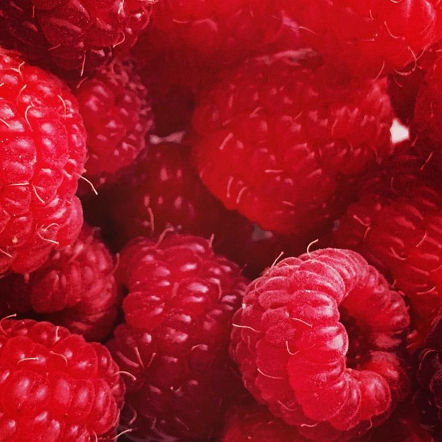 Raspberry Photograph - Raspberries by Nancy Ingersoll
