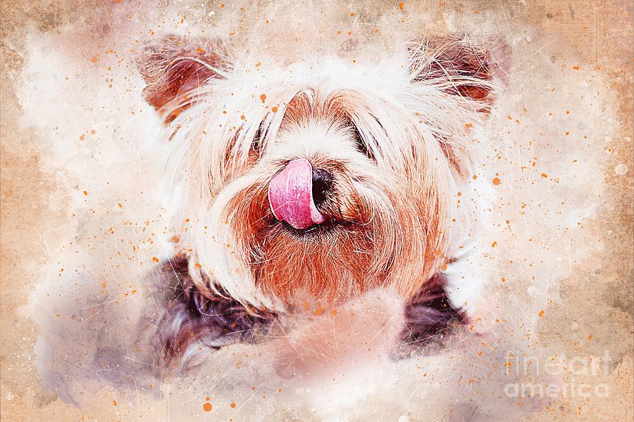 Dog Digital Art - Yummo by Kathy Tarochione