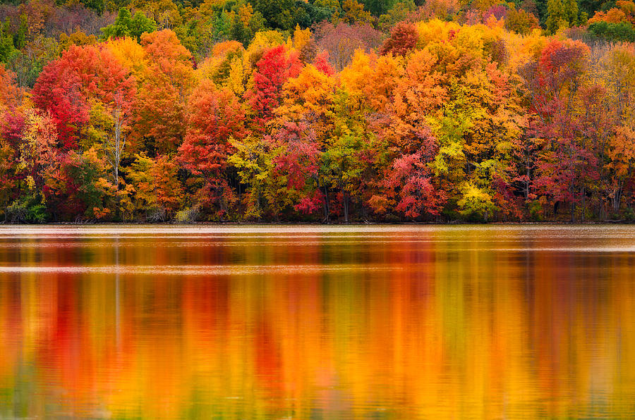 Fall Photograph - Yummy Autumn Colors by Craig Szymanski
