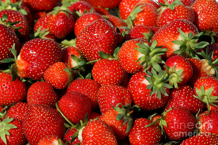 Yummy Fresh Strawberries Photograph by Teresa Zieba