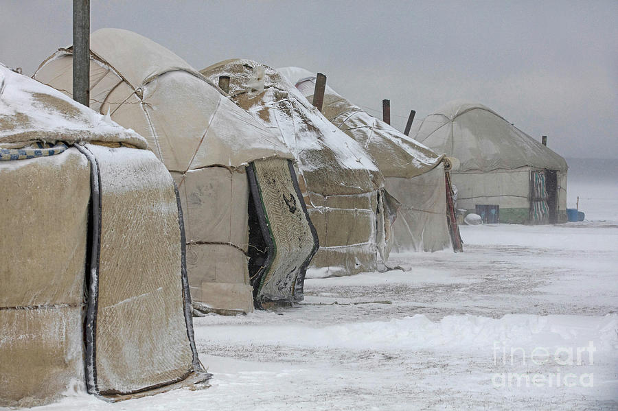 Yurts in Snowstorm Photograph by Arterra Picture Library