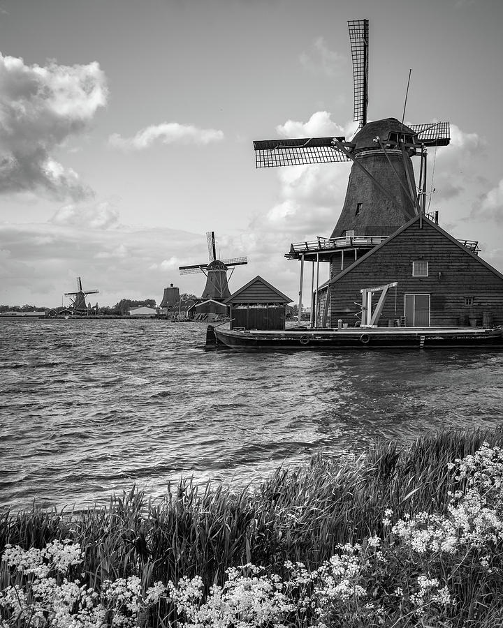 Zaanse Schans Windmills Photograph