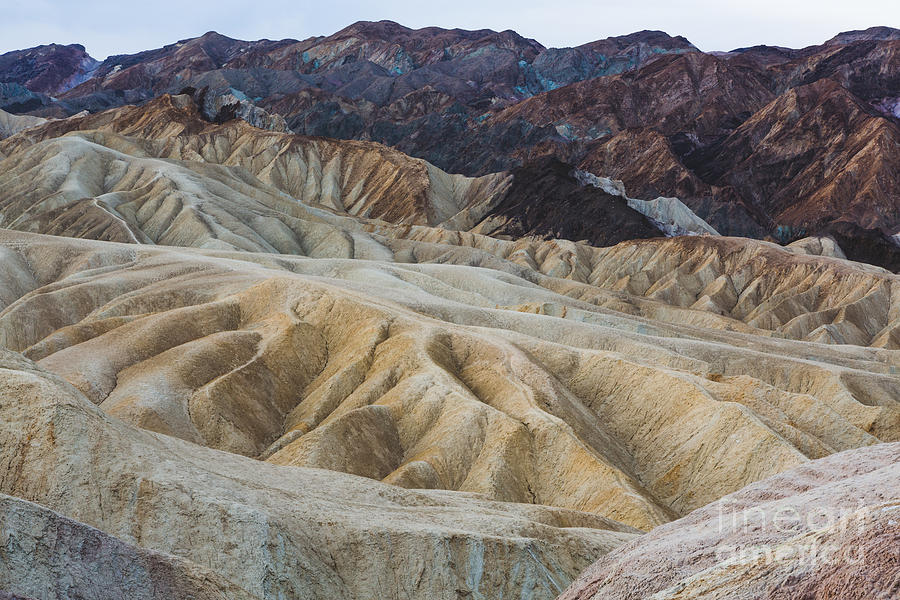 Desert Photograph - Zabriskie Point View #5 by Dan Hartford