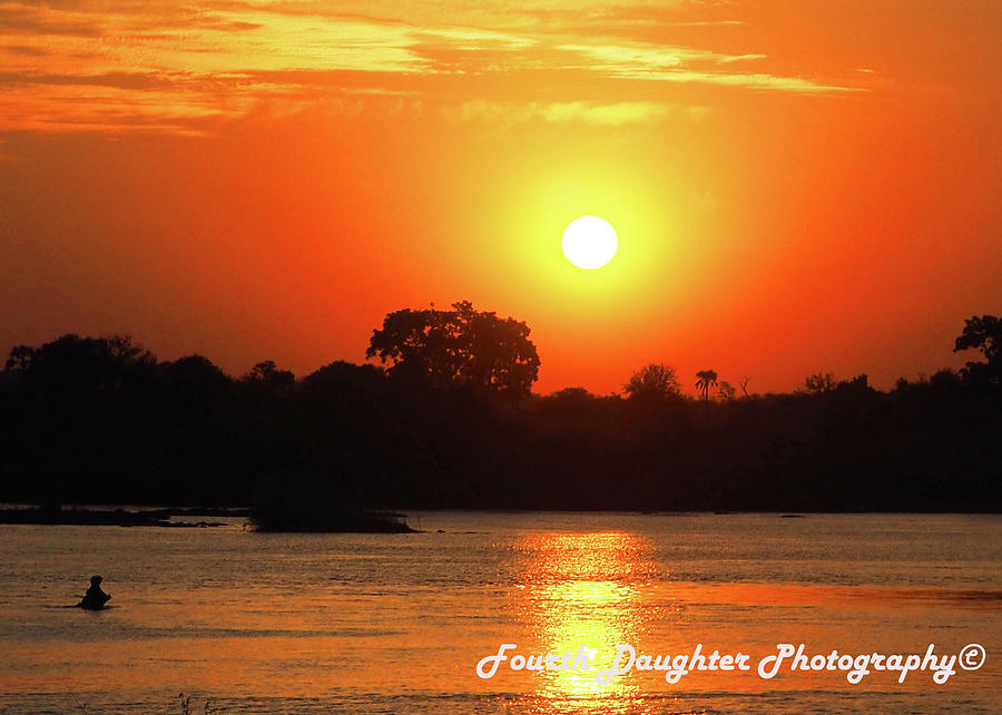 Zambezi Sunset Photograph by Diane Shirley