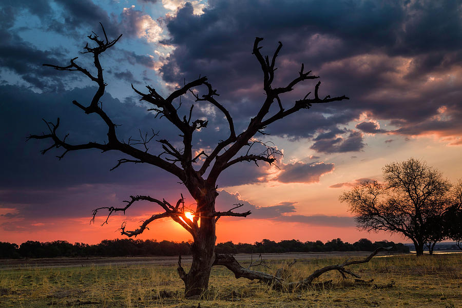 Zambia Sunset Photograph by Fran Gallogly