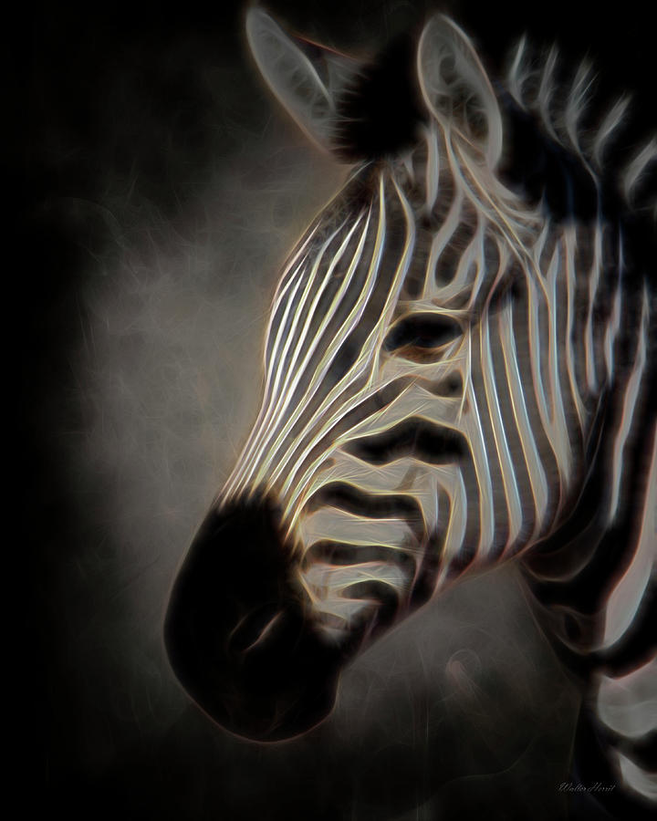 Zantasy Zebra 1a Digital Art by Walter Herrit
