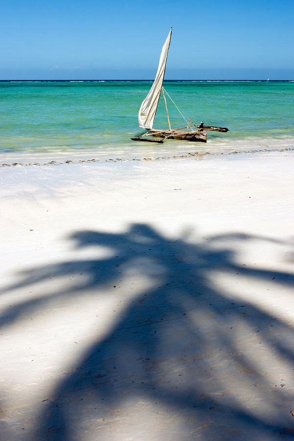 Zanzibar Beach Photograph by Adam Romanowicz