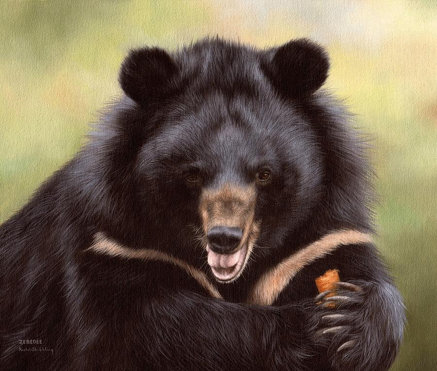 Zebedee Moon Bear - In Support of Animals Asia Painting by Rachel  Stribbling - Pixels