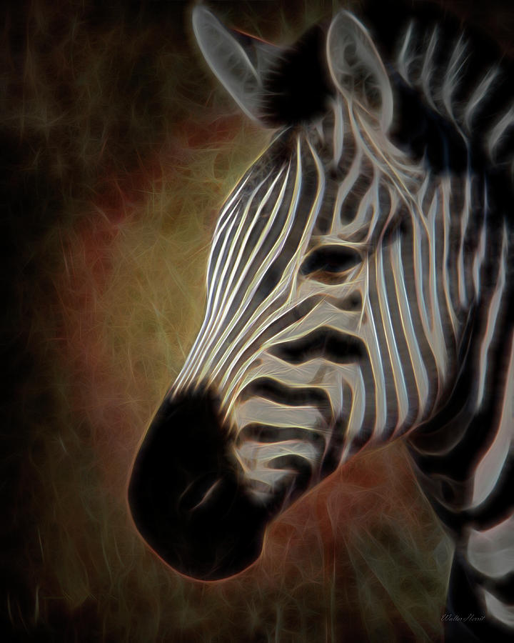 Zebra PhotoArt 2a Digital Art by Walter Herrit