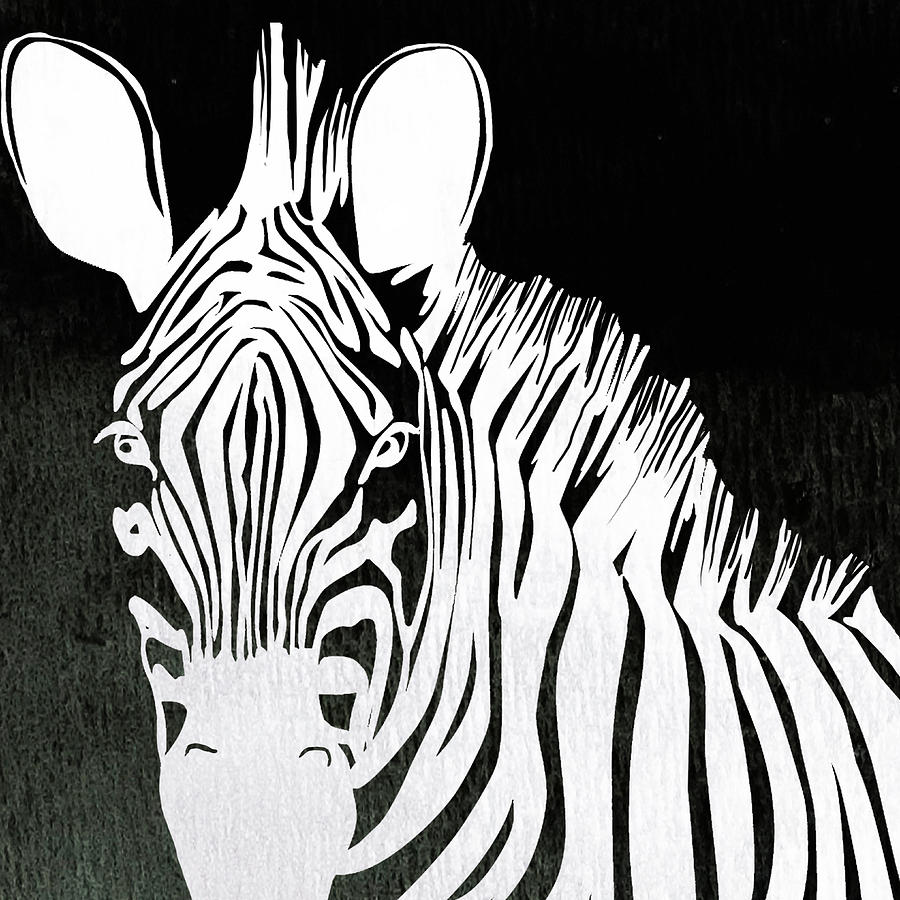 Animal Painting - Zebra Animal Black And White Decorative Poster 4 by Diana Van