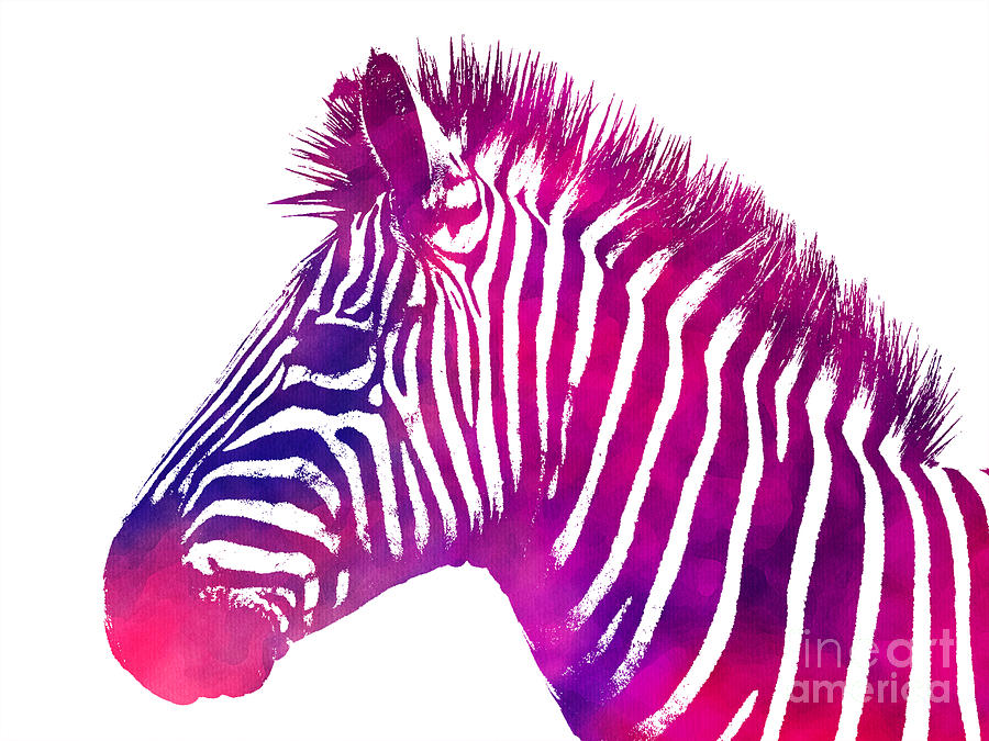 Zebra art Digital Art by Justyna Jaszke JBJart