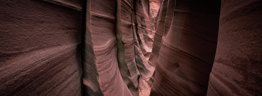 Zebra Canyon Photograph by Edgars Erglis