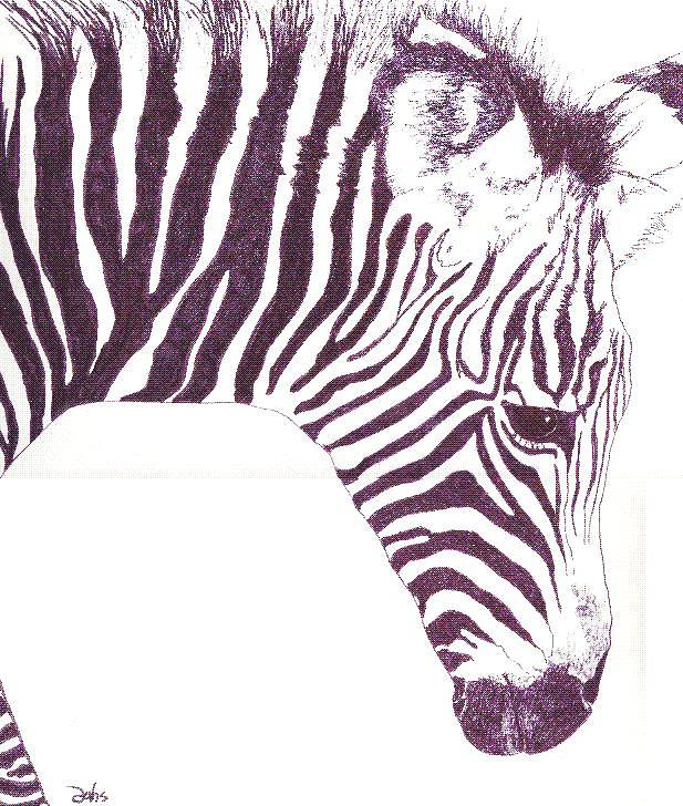 Zebra Painting - Zebra Colt by Debra Sandstrom Zebra Painting - Zebra Colt by Debra Sandstrom