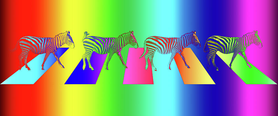Zebra Crossing Pop Art Photograph by Gill Billington