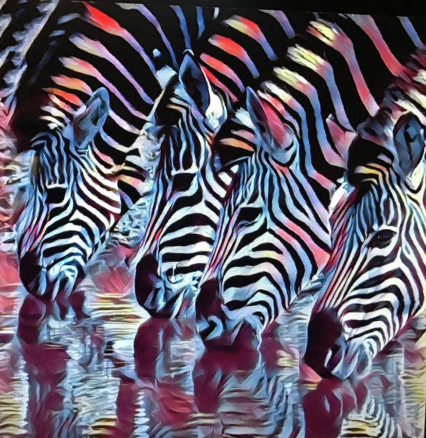 Zebra Dazzle Photograph by Gini Moore