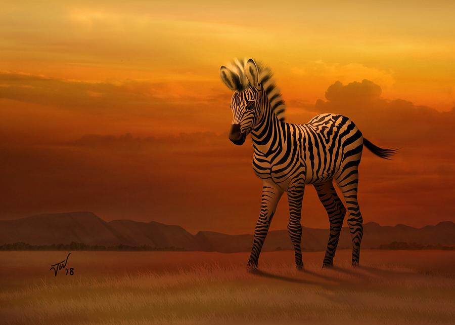 Zebra Fawn  Digital Art by John Wills