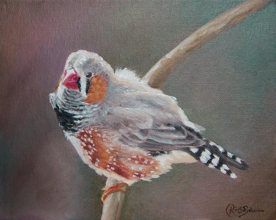 Zebra Finch Painting by Kirsty Rebecca