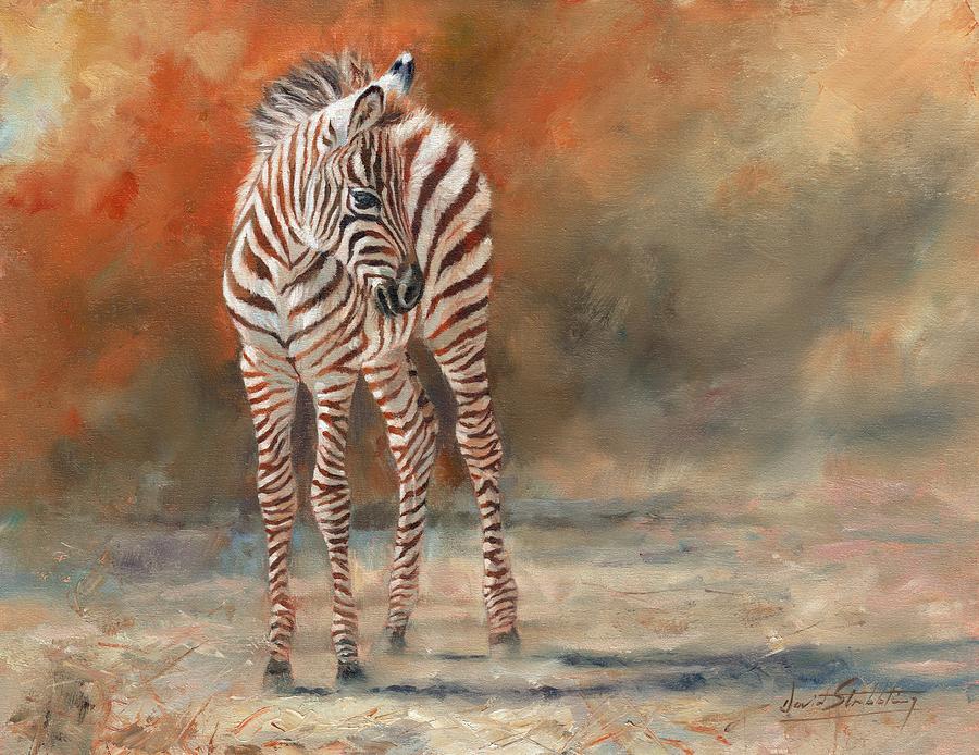 Zebra Foal Painting by David Stribbling