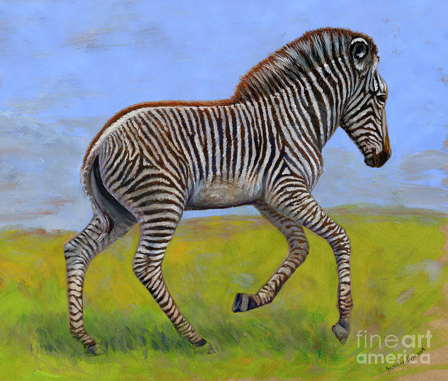 Zebra foal  Painting by Svetlana Ledneva-Schukina