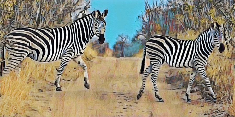 Zebra Photograph by Gini Moore