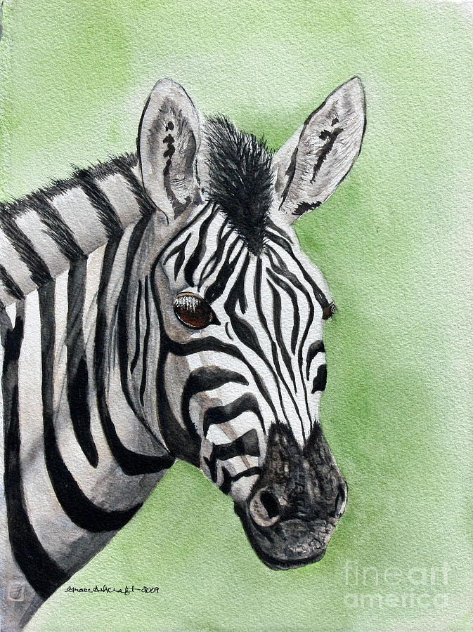 Wildlife Painting - Zebra by Grace Ashcraft