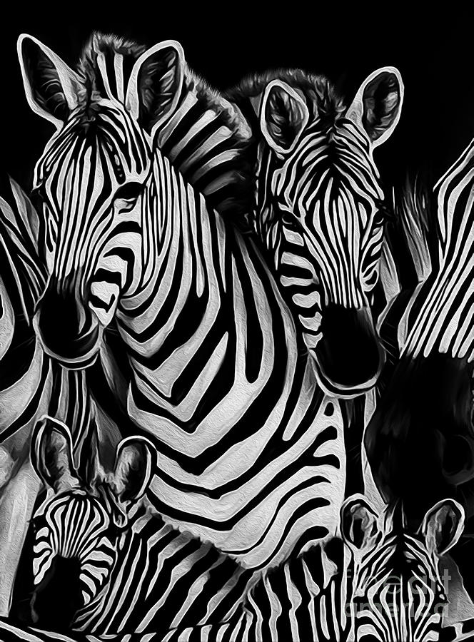 Zebra Group  Painting by Gull G