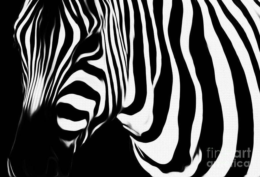 Zebra  Painting by Gull G