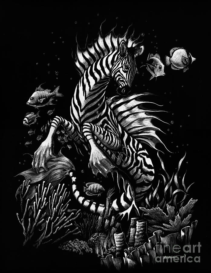 Zebra Hippocampus Drawing by Stanley Morrison