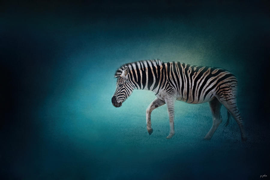 Animal Photograph - Zebra In The Moonlight by Jai Johnson
