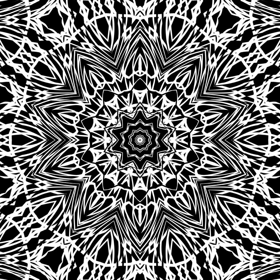 Zebra Inspired Kaleidoscope by Kristalin Davis Digital Art by Kristalin Davis