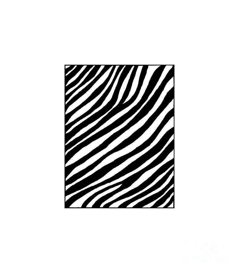 Black And White Drawing - Zebra by Konstantin Sevostyanov