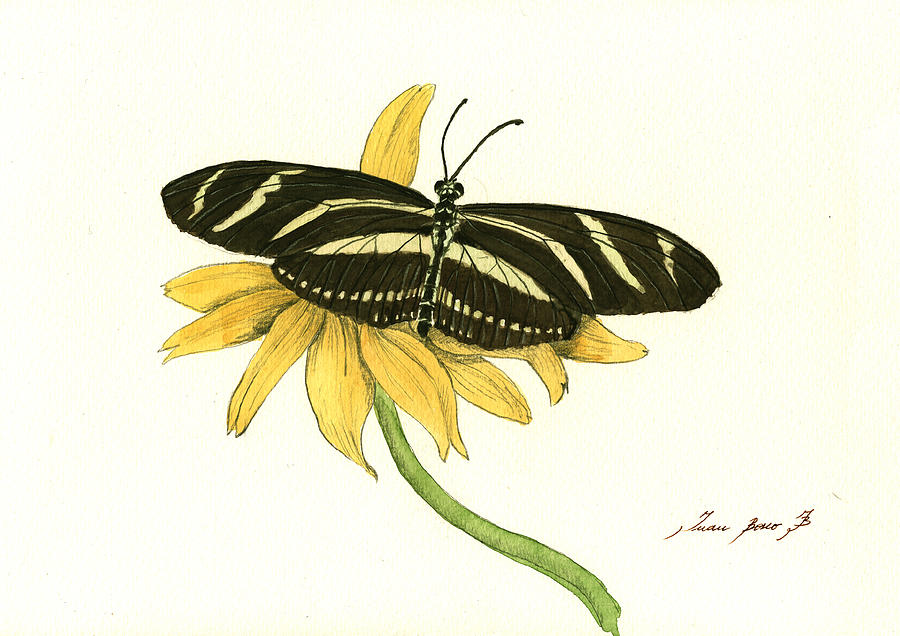 Butterfly Painting - Zebra longwing butterfly by Juan Bosco