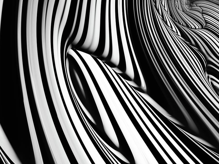Zebra Look Photograph by Barbara Zahno