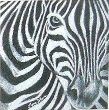 Zebra Looking at you Drawing by Tyna Silver