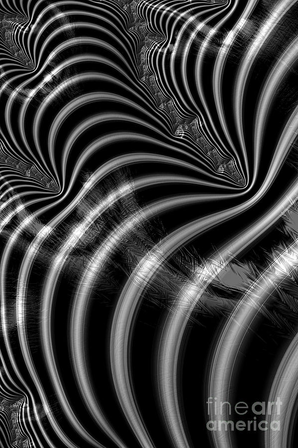 Zebra Mayhem Digital Art by Steve Purnell
