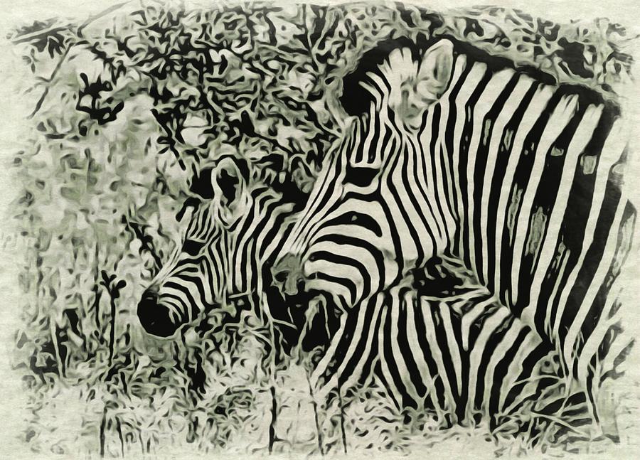 Zebra mom and foal Photograph by Gini Moore