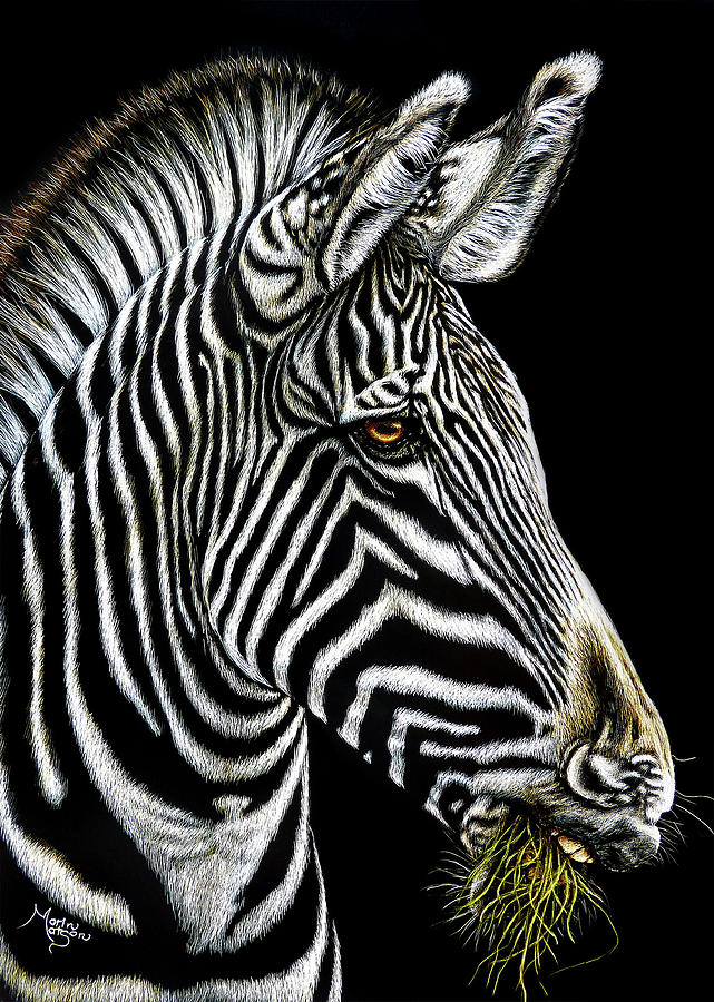 Zebra Mixed Media by Monique Morin Matson