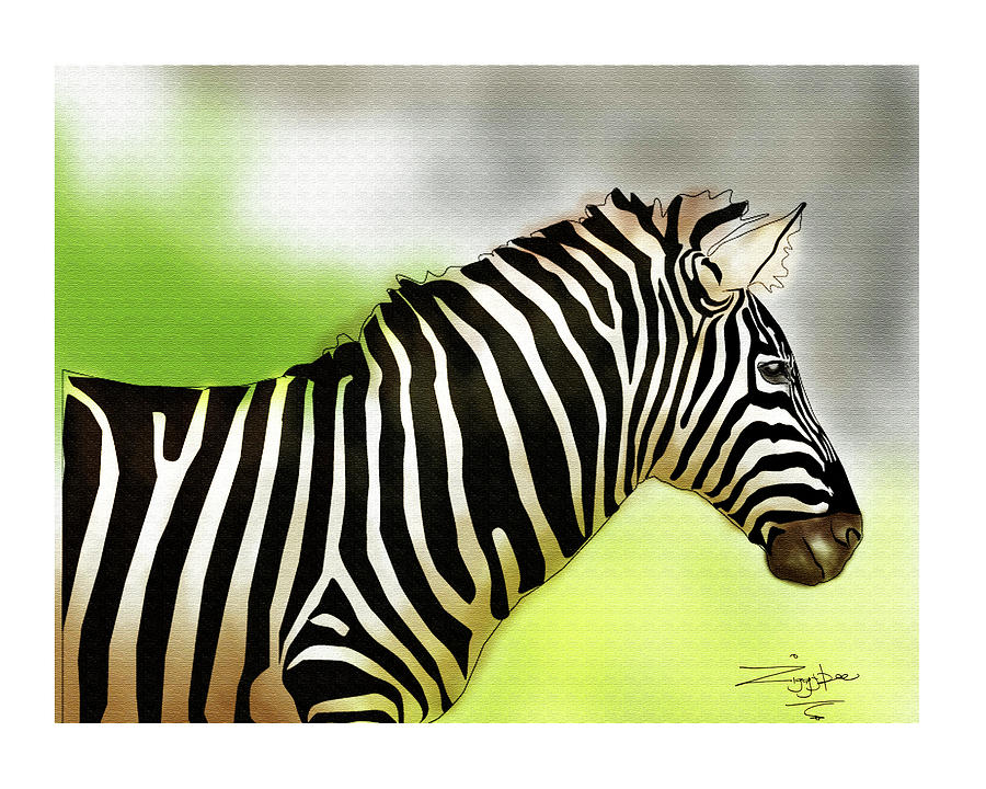 Zebra Painting by Mutyaba Adam - Fine Art America