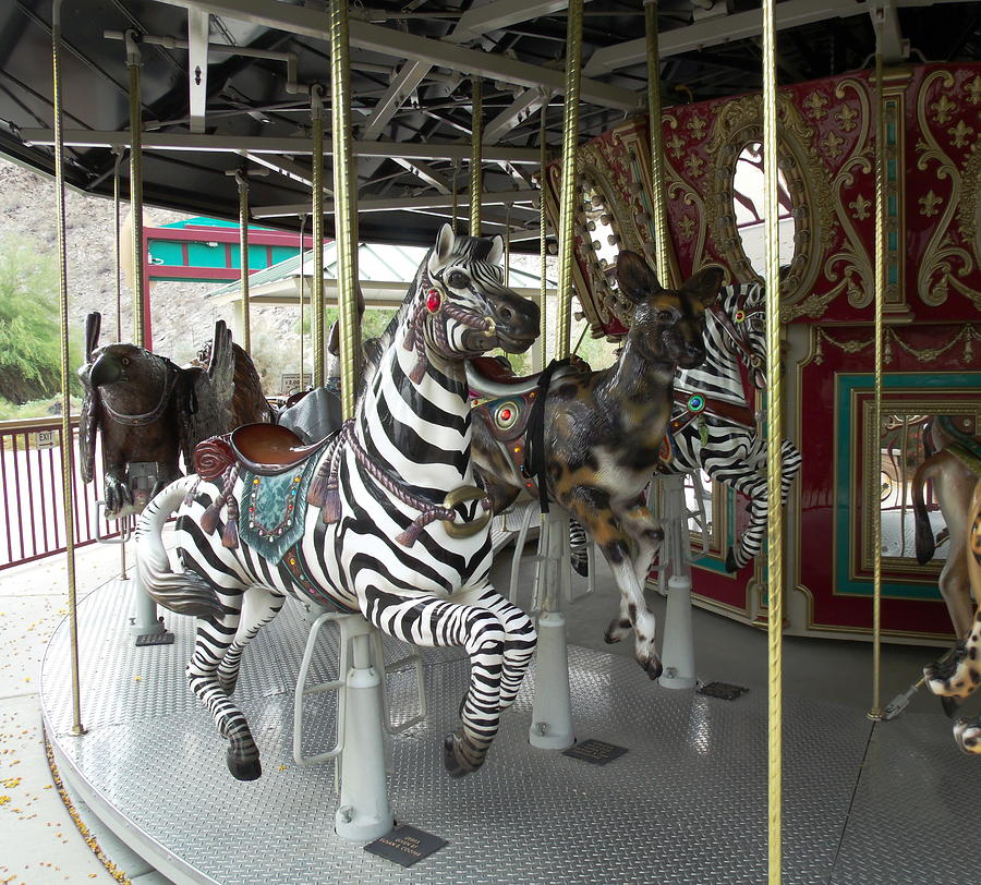 Zebra on Carousel Photograph by Colleen Cornelius