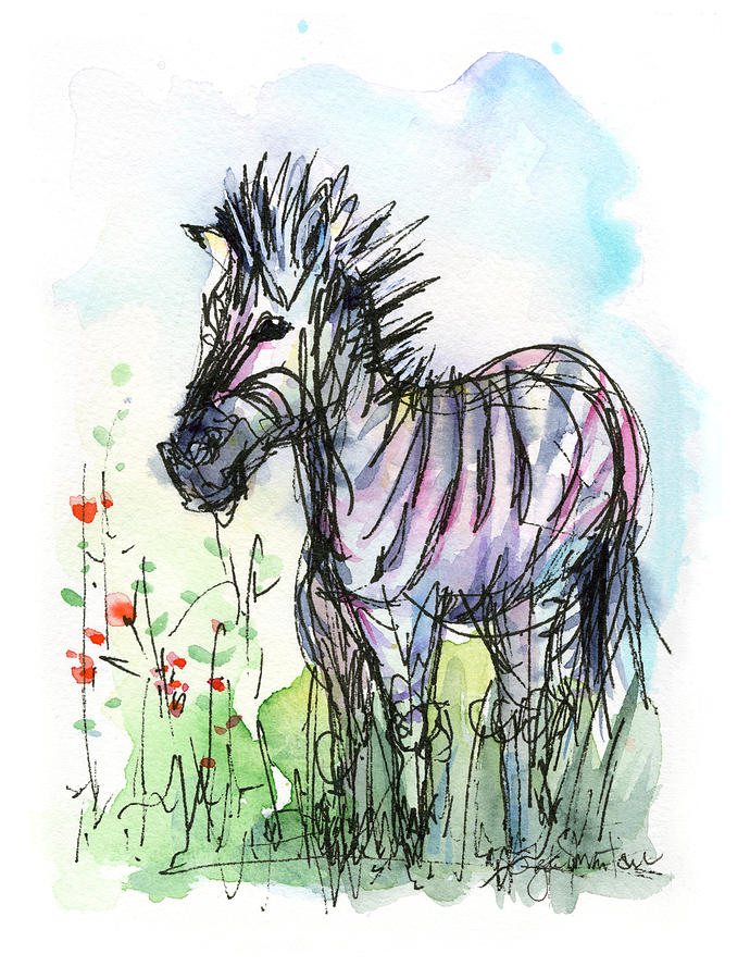 Zebra Painting - Zebra Painting Watercolor Sketch by Olga Shvartsur