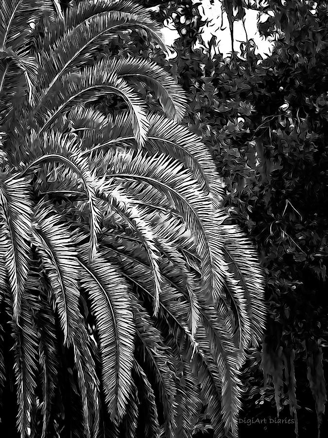 Zebra Palm Photograph by DigiArt Diaries by Vicky B Fuller